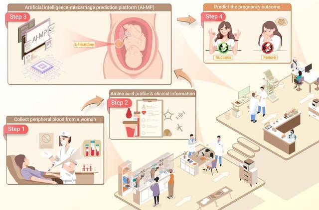 上海交大聯合開發AI系統，首次實現孕前精準預測流產風險