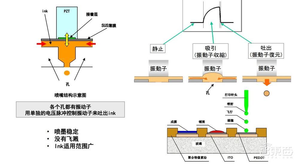 蘋果Vision Pro涼了？二季度銷量暴降80%