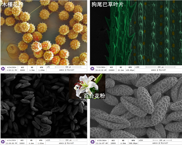 世界首臺！中國自主研發冷場臺式電鏡震撼問世